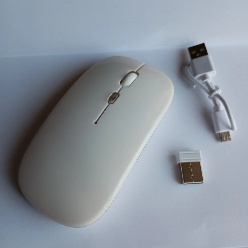 Belaidė 2.4G RGB pelė – tylus mygtukų paspaudimas, įkraunama, USB + Bluetooth, PC / Laptop / iPad